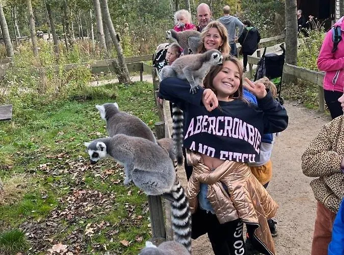 Luxus „wasserblick“ Tatil Evi